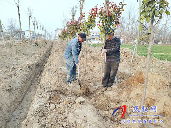白云寺鎮(zhèn):植樹(shù)添新綠，不負(fù)好春光
