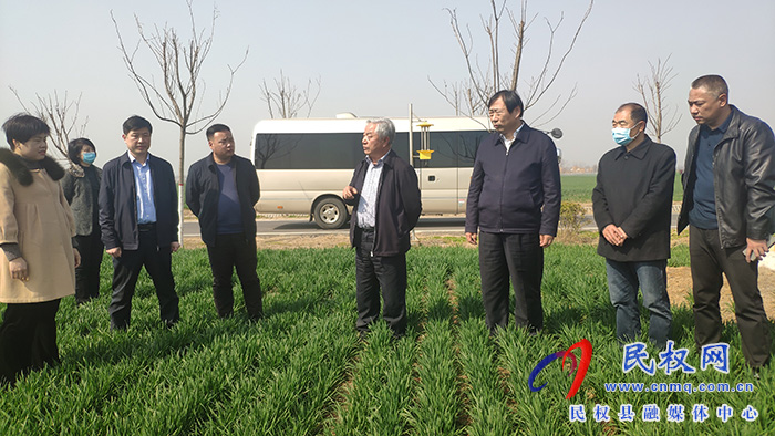 省農(nóng)業(yè)農(nóng)村廳黨組成員、副廳長(zhǎng)王俊忠到民調(diào)研春季麥田管理工作