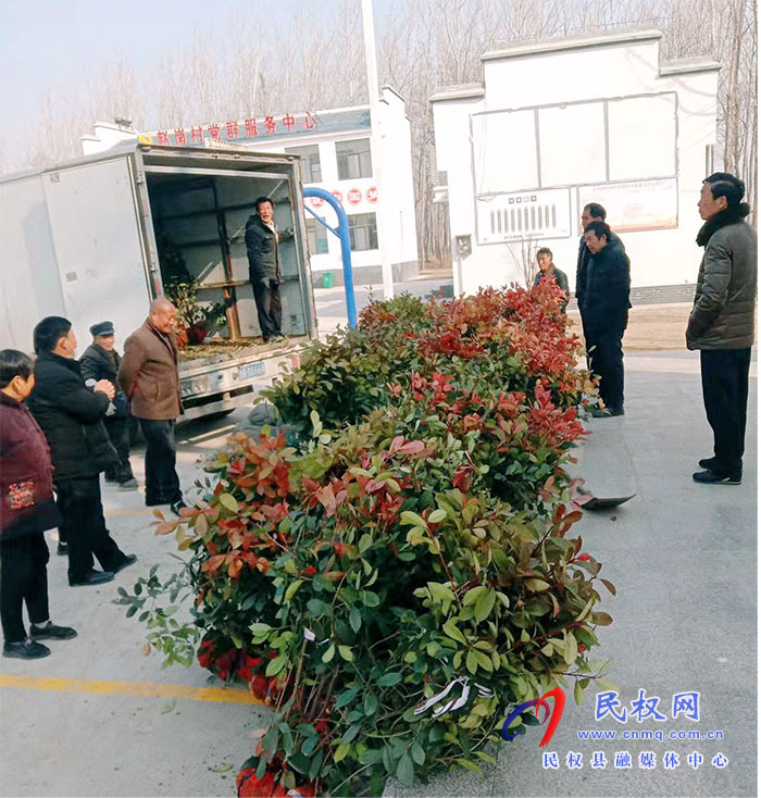 王橋鎮(zhèn)： 春種一棵樹  夏立一片蔭
