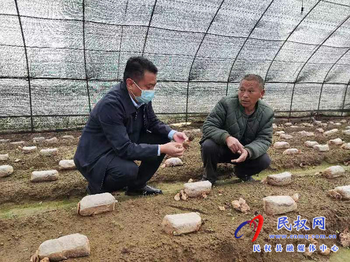 縣高新區(qū)管委會副主任張玉棟到龍?zhí)伶?zhèn)督導(dǎo)疫情防控、“三零創(chuàng)建”等重點(diǎn)工作