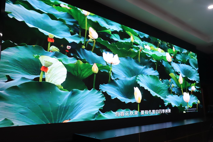我縣參加2022年省級旅游度假區(qū)申報(bào)單位線上評審會