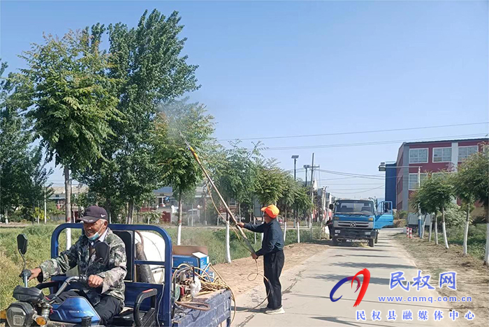 龍?zhí)伶?zhèn)：多舉措加強樹木管護(hù)