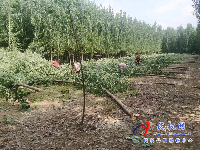 孫六鎮(zhèn)多舉措推進土地流出整治及土地復(fù)墾工作