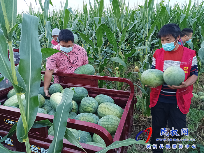 民權(quán)縣花園鄉(xiāng)：為滯銷西瓜找銷路