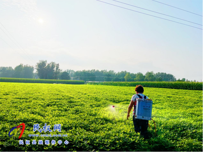 民權(quán)縣白云寺鎮(zhèn)：疫情防控與農(nóng)業(yè)生產(chǎn)齊抓共管