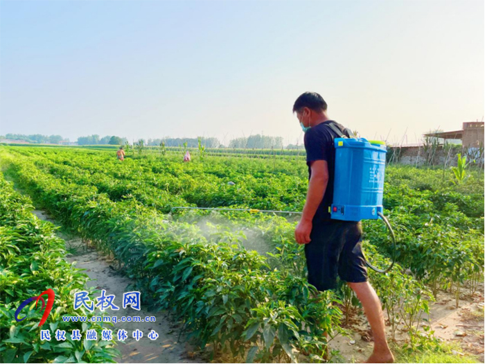 民權(quán)縣白云寺鎮(zhèn)：疫情防控與農(nóng)業(yè)生產(chǎn)齊抓共管