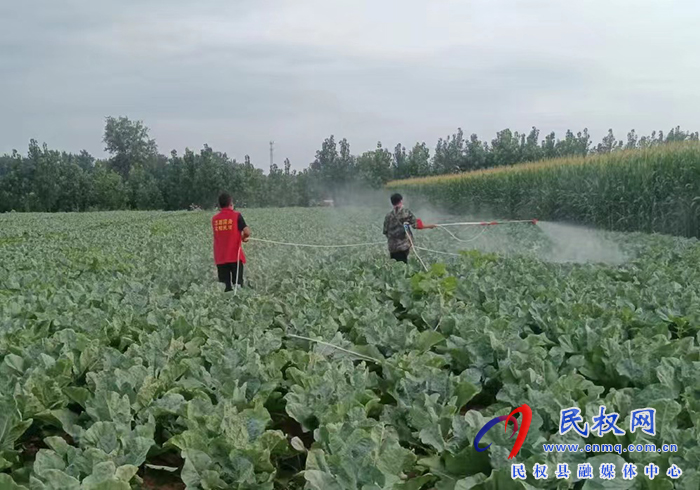 民權(quán)縣褚廟鄉(xiāng):疫情防控與農(nóng)業(yè)生產(chǎn)“兩不誤、雙促進(jìn)”