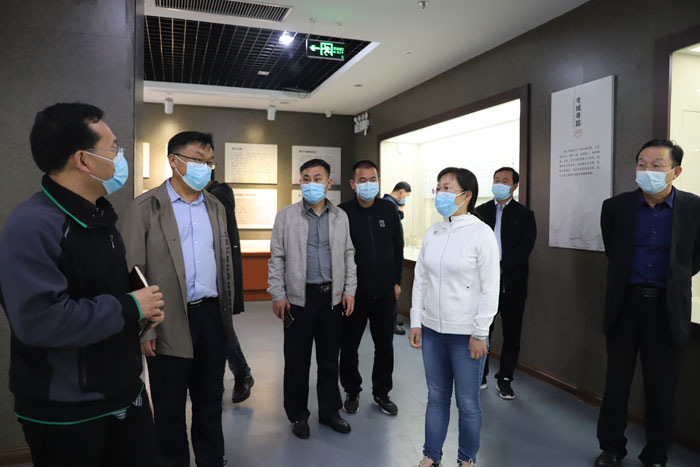 縣委副書記、縣長王靜嫻督導全國文明城創(chuàng)建工作