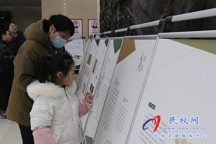 2023年民權縣“大展宏兔——癸卯（兔年）新春生肖文物圖片聯(lián)展”活動