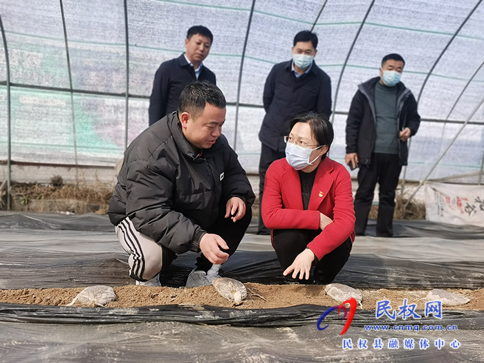 縣委副書記、縣長(zhǎng)王靜嫻調(diào)研農(nóng)業(yè)產(chǎn)業(yè)化工作