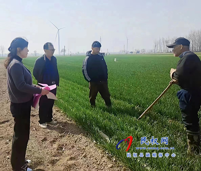 民權(quán)縣農(nóng)業(yè)農(nóng)村局開展小麥春季技術(shù)管理服務(wù)活動(dòng)