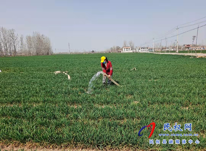 龍?zhí)伶?zhèn)八萬余畝小麥陸續(xù)春灌