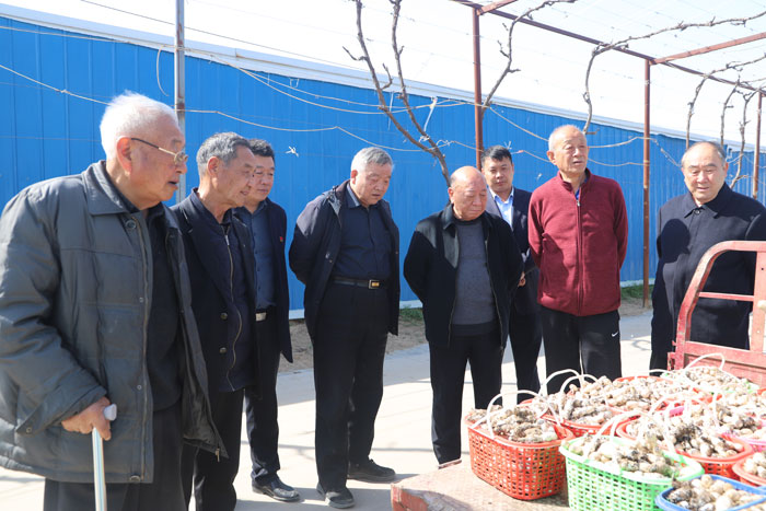 縣委老干部局組織部分離退休干部調(diào)研鄉(xiāng)村振興產(chǎn)業(yè)發(fā)展情況