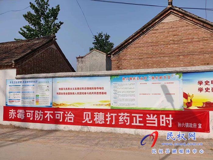 孫六鎮(zhèn)：扎實(shí)開展小麥病蟲害防治 確保夏糧豐產(chǎn)豐收