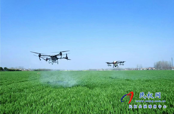 王橋鎮(zhèn)：無人機(jī)賦能，助力小麥“一噴三防”