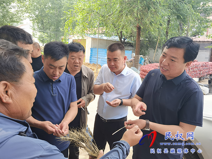 綠洲街道辦事處領(lǐng)導(dǎo)班子督導(dǎo)“三夏”工作