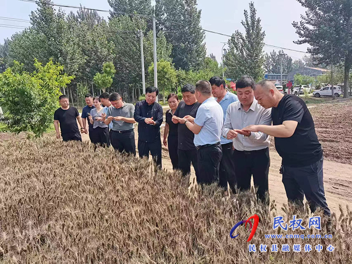 綠洲街道辦事處領(lǐng)導(dǎo)班子督導(dǎo)“三夏”工作
