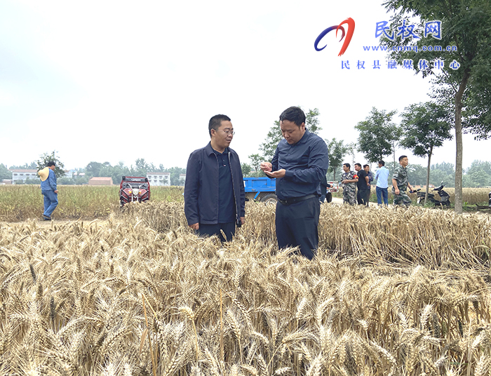 副縣長李衛(wèi)政到我縣部分鄉(xiāng)鎮(zhèn)督導(dǎo)“三夏”生產(chǎn)工作