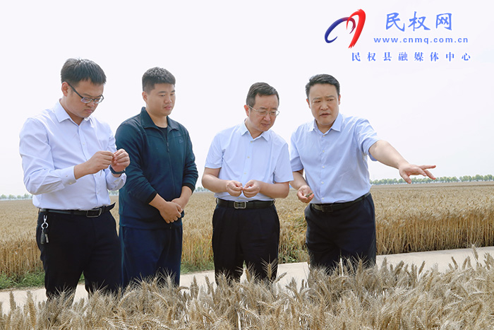 市委組織部副部長崔振華到民權調研“三夏”生產情況