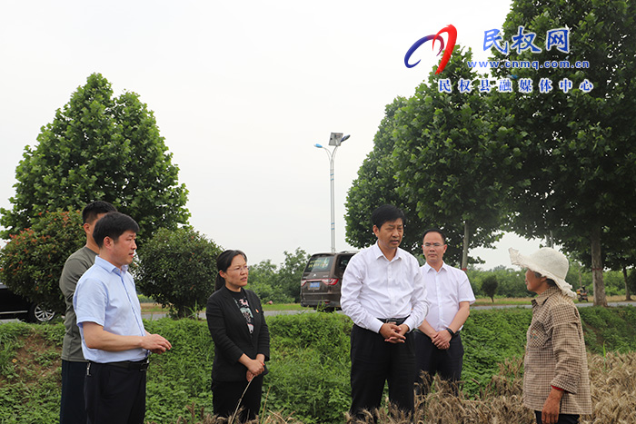 市委常委、常務(wù)副市長(zhǎng)薛鳳林到民調(diào)研“三夏”生產(chǎn)工作及高考考務(wù)工作