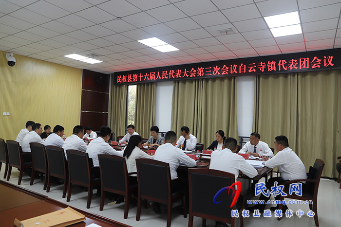 縣領導參加縣人大各代表團分組審議