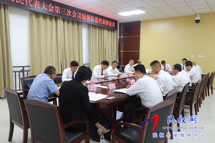 縣領導參加縣人大各代表團分組審議