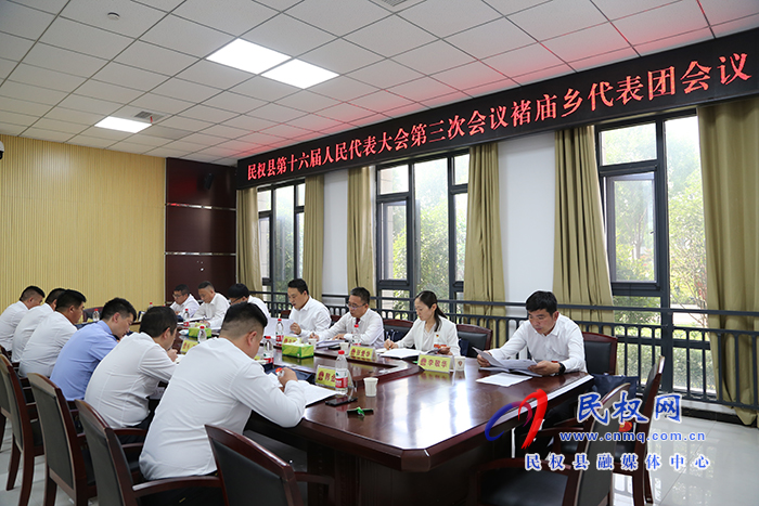 縣領導參加縣人大各代表團分組審議