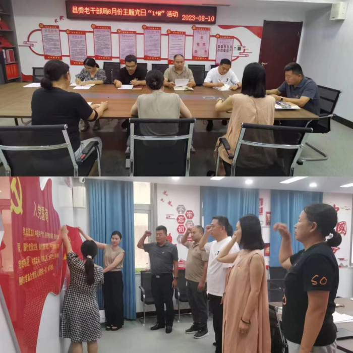 民權(quán)縣委老干部局開展8月份主題黨日“1+N”活動