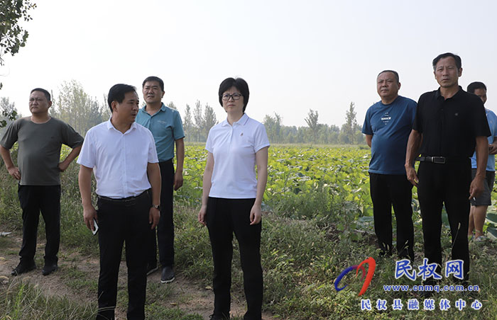民權(quán)黃河故道水源地保護(hù)綜合治理行動啟動