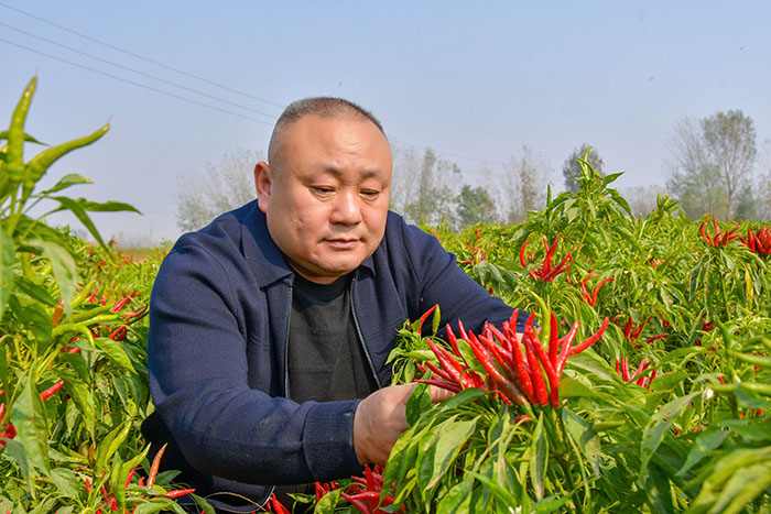 市勞動(dòng)模范趙轉(zhuǎn)運(yùn)
