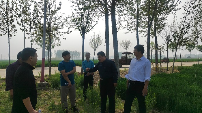 雙塔鎮(zhèn)：省農(nóng)科院副研究員高偉到雙塔鎮(zhèn)郭堂村進(jìn)行實(shí)地查看