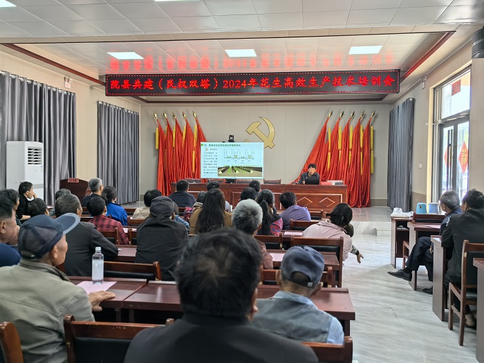 雙塔鎮(zhèn)：舉辦花生高產(chǎn)栽培技術培訓會
