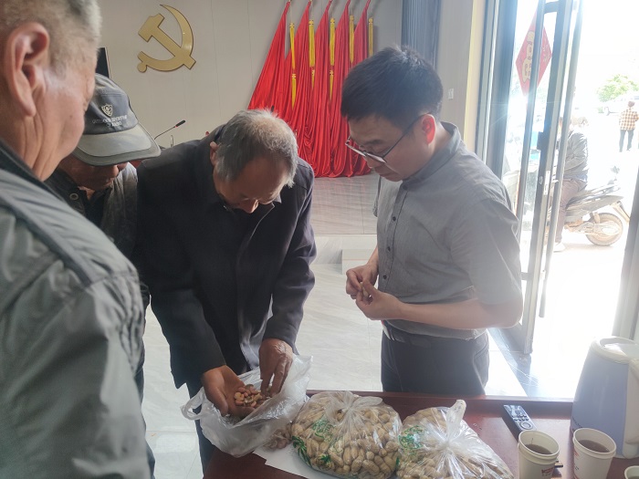 雙塔鎮(zhèn)：舉辦花生高產(chǎn)栽培技術培訓會