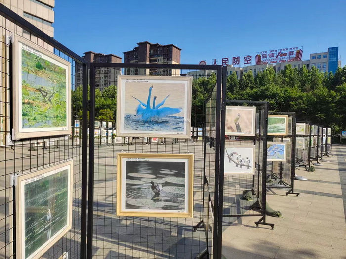 奮進(jìn)民權(quán)·擁抱未來(lái) 2024民權(quán)文旅市集暨大美民權(quán)藝術(shù)攝影展系列活動(dòng)舉行