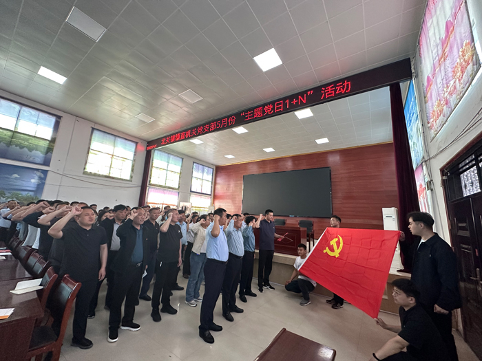 北關(guān)鎮(zhèn)鎮(zhèn)直機關(guān)黨支部開展5月份主題黨日“1+N”活動