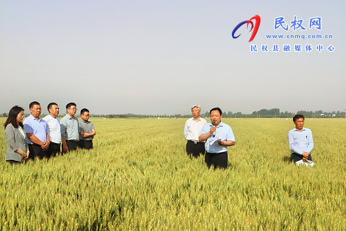 全省優(yōu)質(zhì)小麥單產(chǎn)提升暨規(guī)?；唵紊a(chǎn)現(xiàn)場觀摩會在民召開