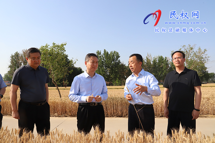 市長擺向陽到民調(diào)研督導“三夏”生產(chǎn)時強調(diào) 抓細抓實“三夏”各項工作 為全年糧食豐收奠定堅實基礎