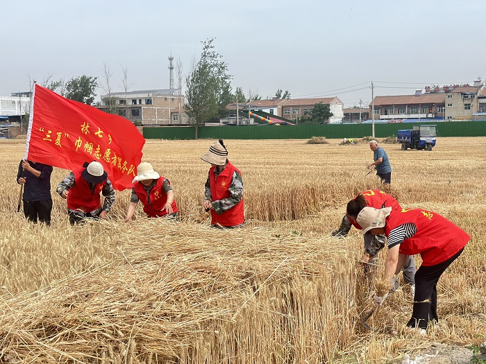民權(quán)縣婦聯(lián)組織巾幗志愿者助力秸稈禁燒及“三夏”生產(chǎn)