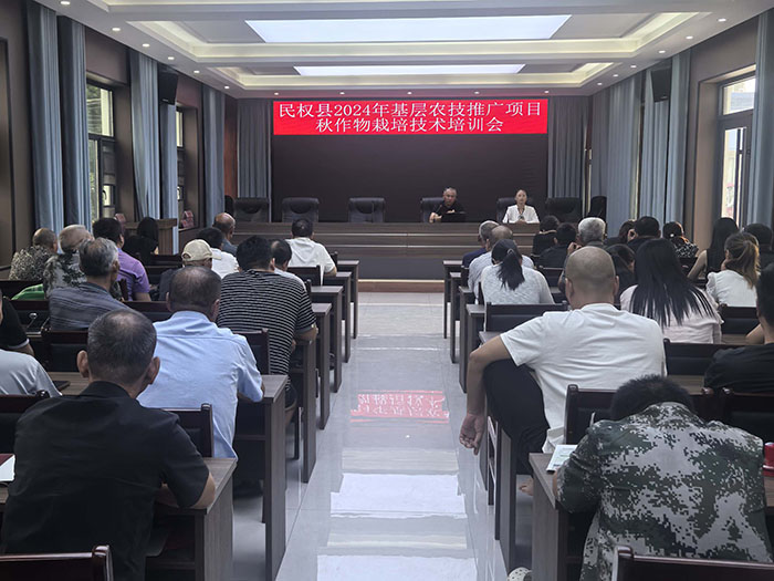 王橋鎮(zhèn)：加強(qiáng)秋作物田間管理，點(diǎn)亮“產(chǎn)業(yè)興旺星”