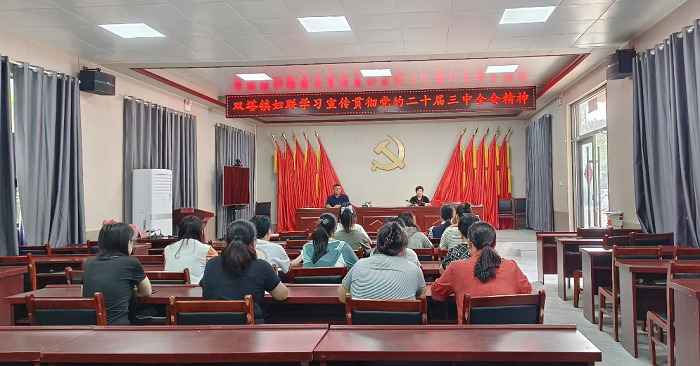 民權(quán)縣雙塔鎮(zhèn)婦聯(lián)開展學(xué)習(xí)貫徹黨的二十屆三中全會精神巾幗宣講會