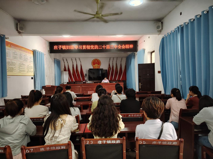 民權(quán)縣莊子鎮(zhèn)婦聯(lián)學(xué)習(xí)貫徹黨的二十屆三中全會(huì)精神