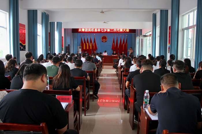 民權(quán)縣林七鄉(xiāng)圓滿完成團組織換屆選舉工作