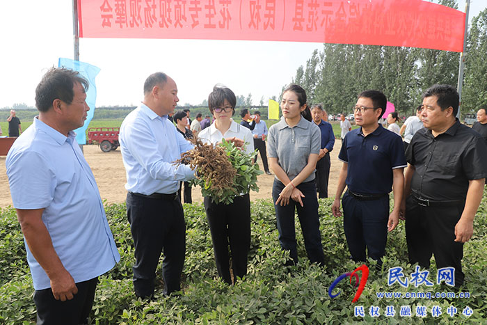 院縣共建現(xiàn)代農(nóng)業(yè)科技綜合示范縣（民權(quán)）花生專(zhuān)項(xiàng)現(xiàn)場(chǎng)觀摩會(huì)舉行