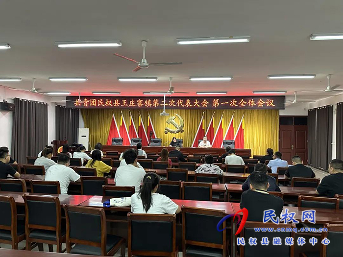 民權縣王莊寨鎮(zhèn)圓滿完成團組織換屆選舉工作