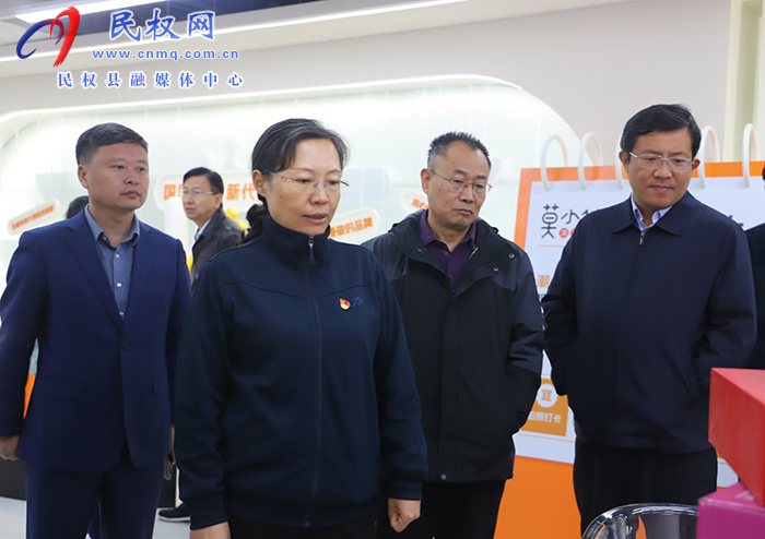 縣委書記王靜嫻調(diào)研重點項目建設(shè)工作