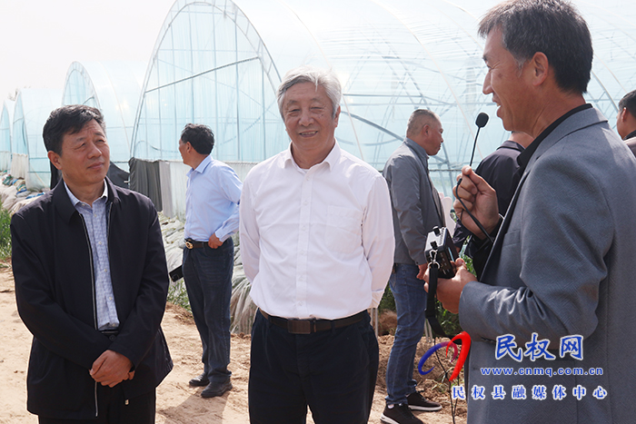 全國人大常委、中國工程院院士許為鋼到我縣院縣共建優(yōu)質(zhì)小麥產(chǎn)業(yè)化基地考察