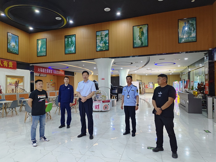 民權(quán)縣開展“五一”節(jié)前出版物市場暨影院安全生產(chǎn)檢查行動